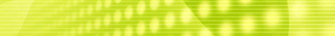 Mark Curtis Computer Services